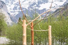 Umarmung, Kari Joller